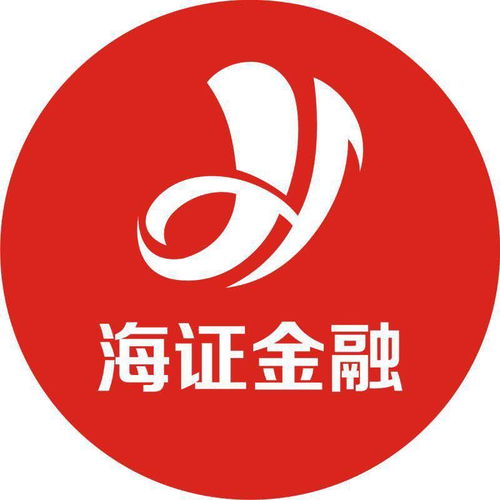 湖南海證投資咨詢 專業(yè)護(hù)航，助力財(cái)富增值